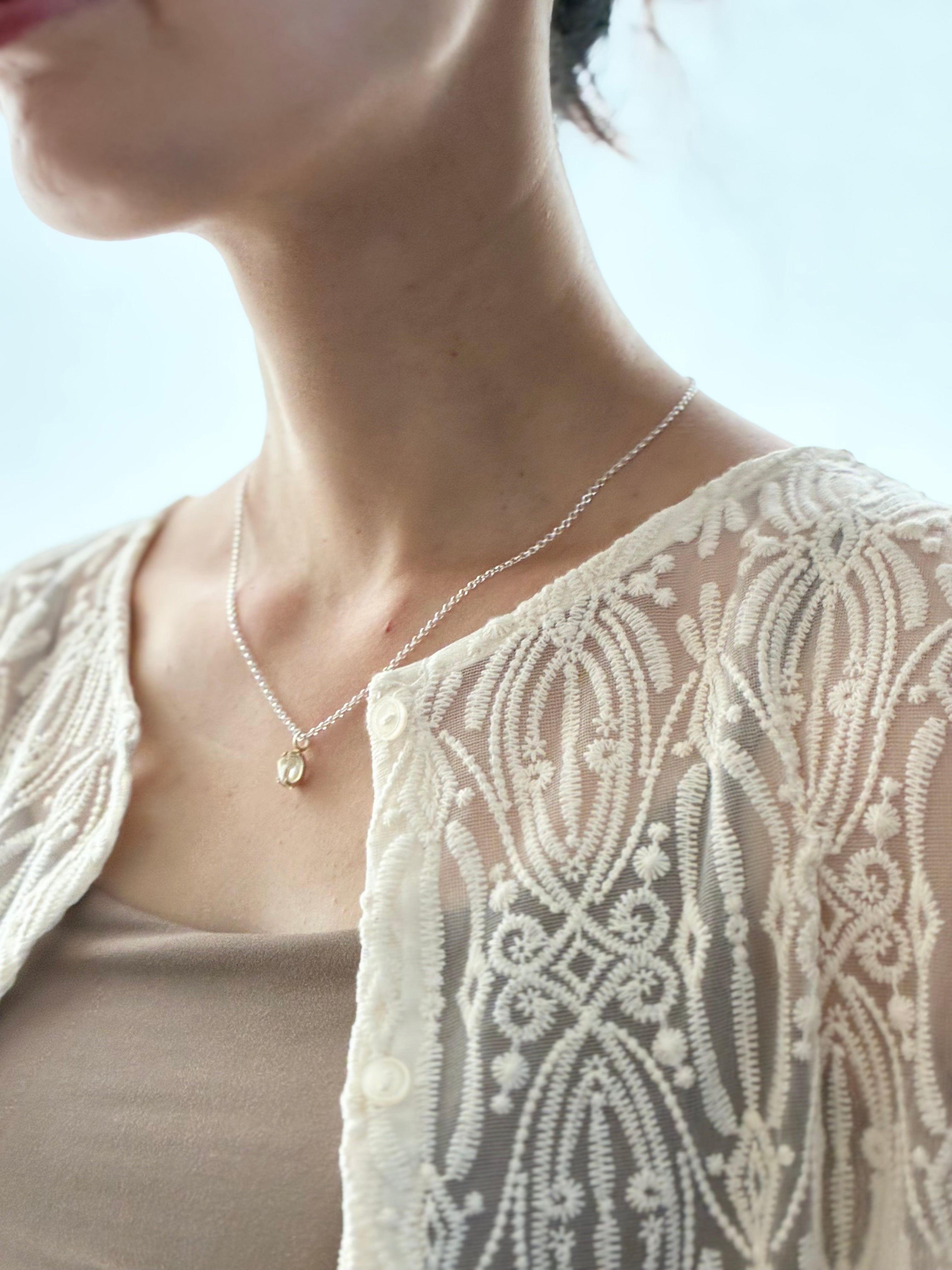 ハーキマー•ダイヤモンド ✦ のネックレス【 アジャスタに小さな もう１粒つき】 Silver925 ネックレス ハーキマーダイヤモンド | sula.